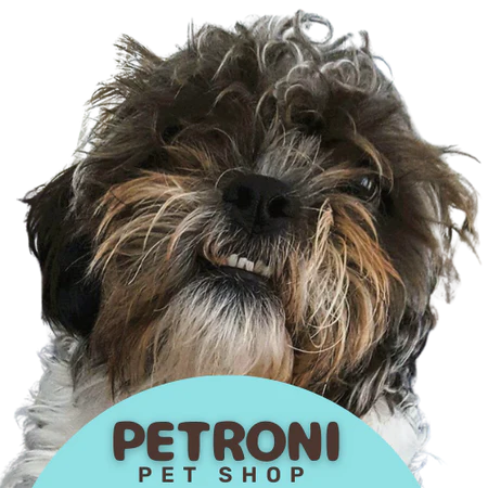 Petroni